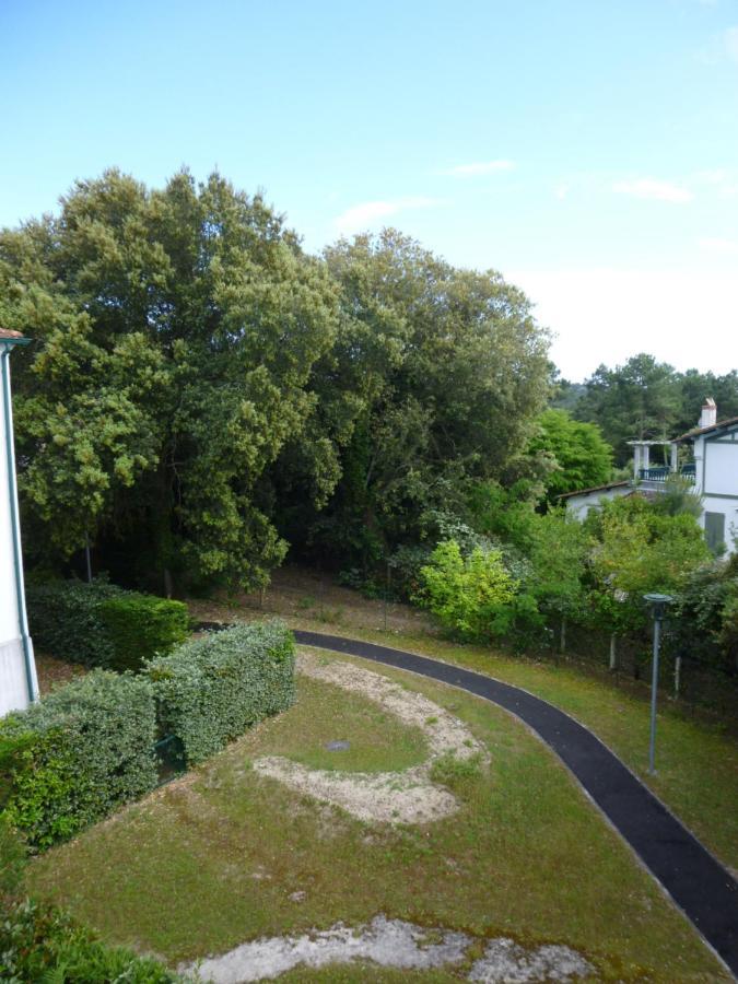 En : 3 Pieces Moulleau -arbousiers-pereire Appartement *